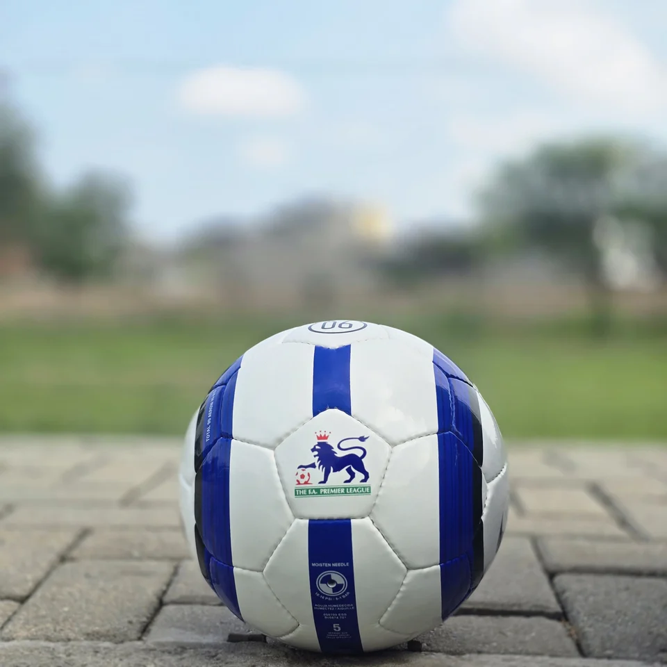 Blue Purple Tricolor-Style Hand-Stitched Football design detail - white handmade football with blue and purple panel graphics and visible tricolor-style printed text